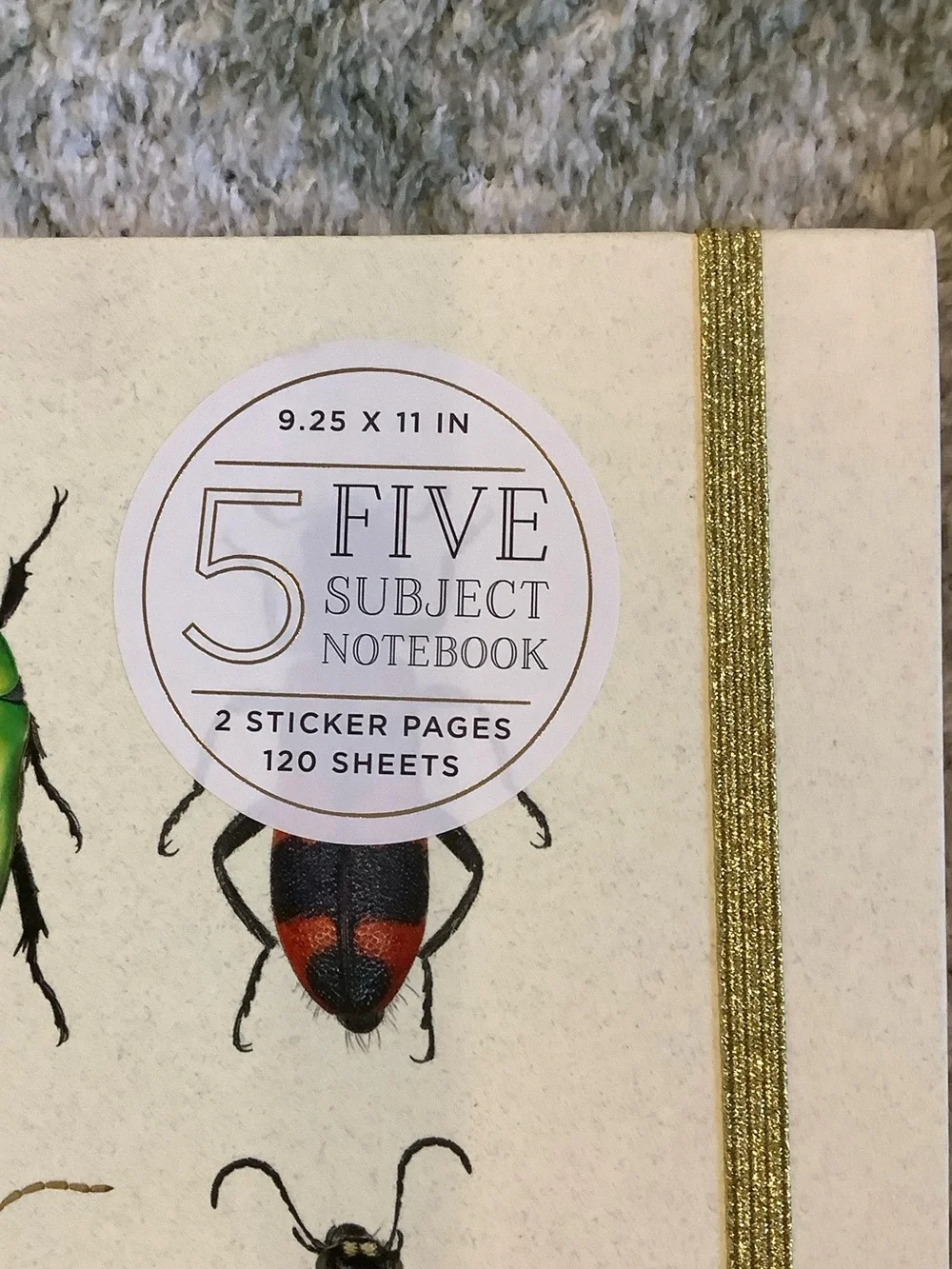 James Burke Collection Colorful Bugs Five Subject Notebook NWT 9.25x11” 120 page